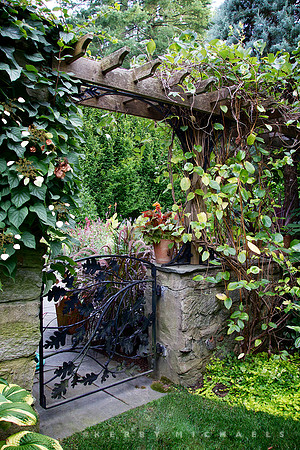 Andrew Bunting Garden