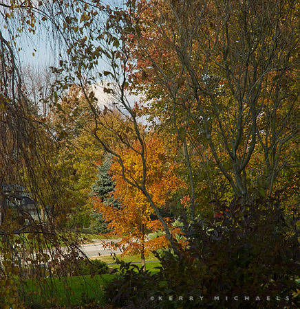 DSC_0498 - Version 5