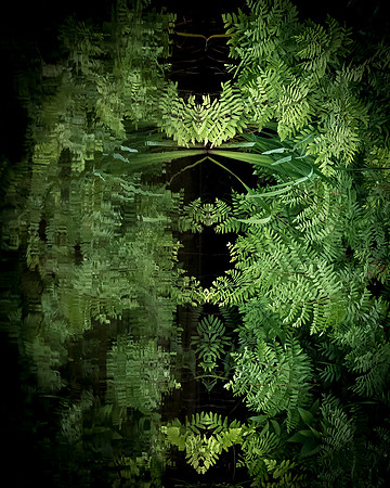 02_michaels_Reflection_North_Maine_Woods2_2017