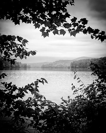 39AE_Kezar_Leaves_DSC_6077