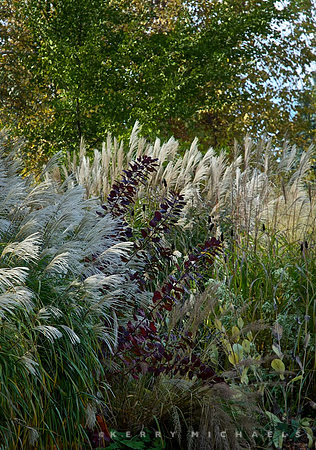 DSC_0495 - Version 4