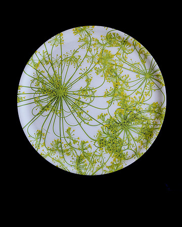 trays_sm-8503649