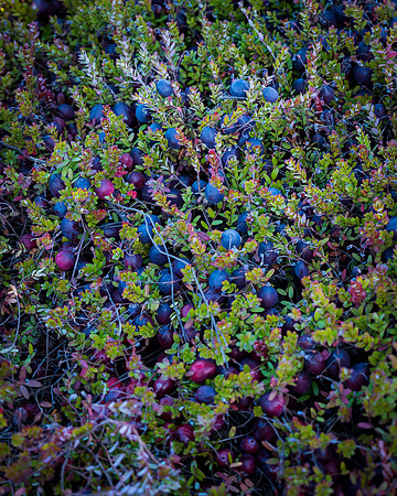 _DSC3504