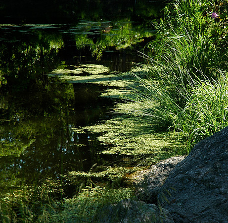 DSC_1480.JPG