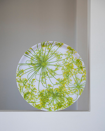 trays_sm-8503785-2