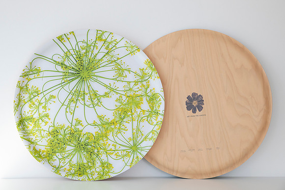 trays_sm-8504052
