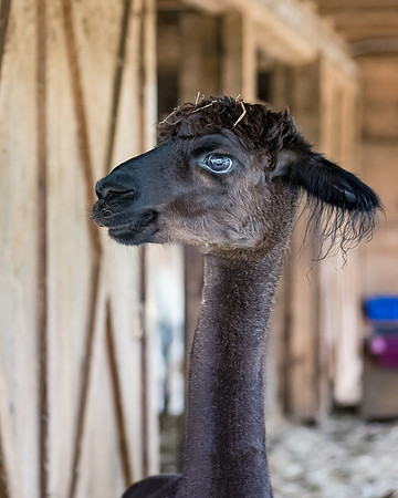 _DSC1410