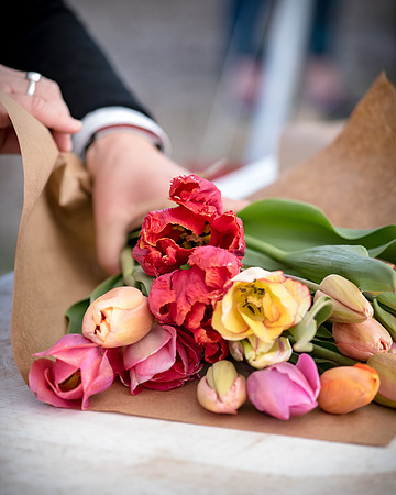 Wicked_Tulips-6804