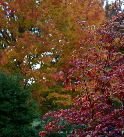 DSC_0664 - Version 3