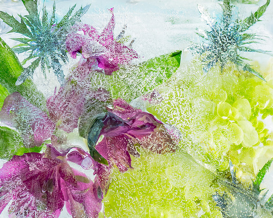 frozen flowers_8501075-2