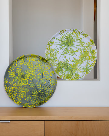 trays_8503757