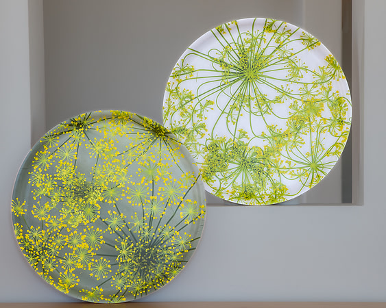 trays_8503764