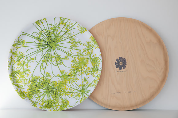trays_8504050