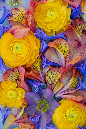 floating flowers_8504123
