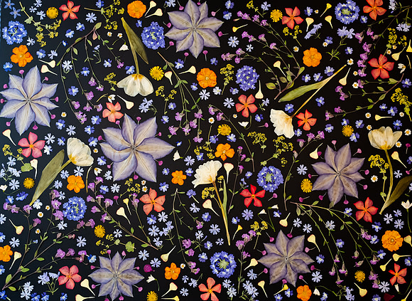 dried_flowers_8504578