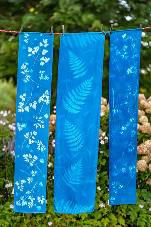silk scarves cyanotype_DSC1837