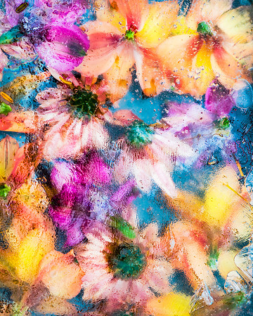 frozen flowers_8509783