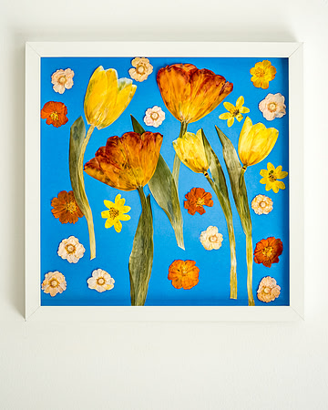 dried_flowers_DSC2043