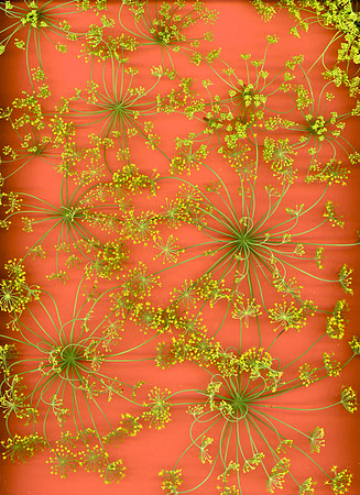 scan20250730_0016-3