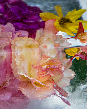 _8506470