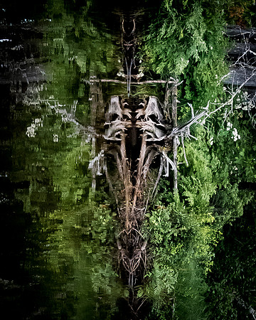 _DSC2483