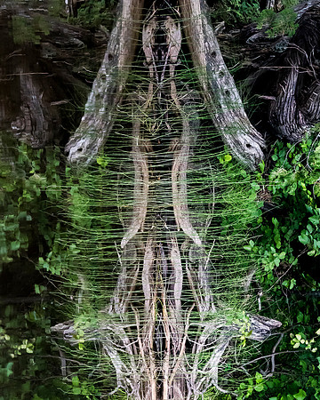 _DSC2533