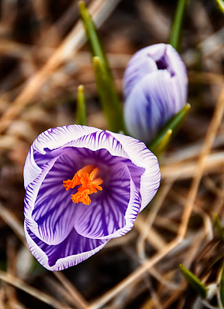 _DSC4573_HDR