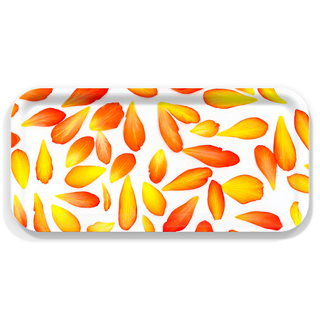 Customer-Design_new_begonia-_1105-6596