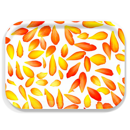 Customer-Design_new_begonia-_1108-6596