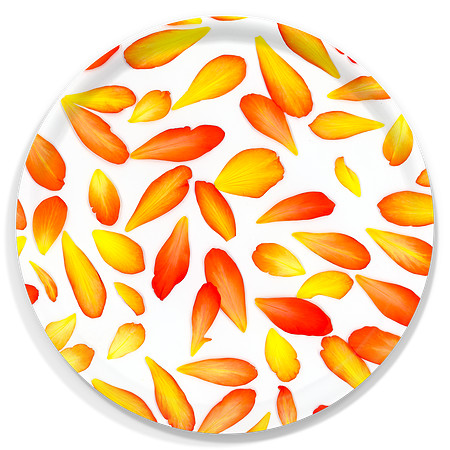 Customer-Design_new_begonia-_R157-6596