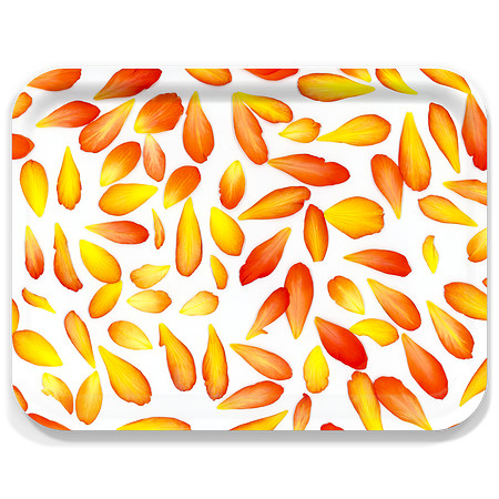 Customer-Design_new_begonia-_1612-6596
