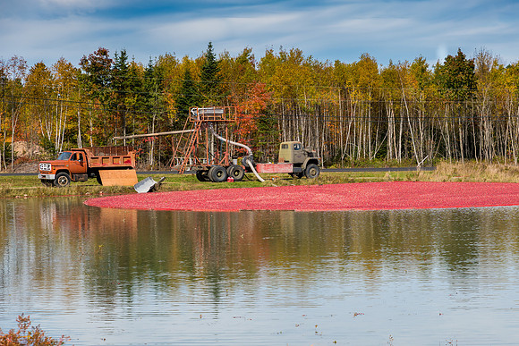 _DSC3454