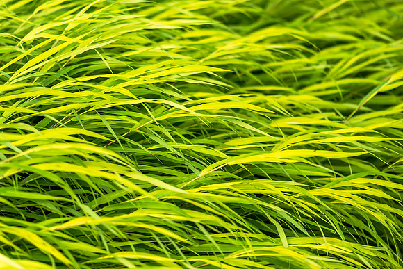 _DSC0150