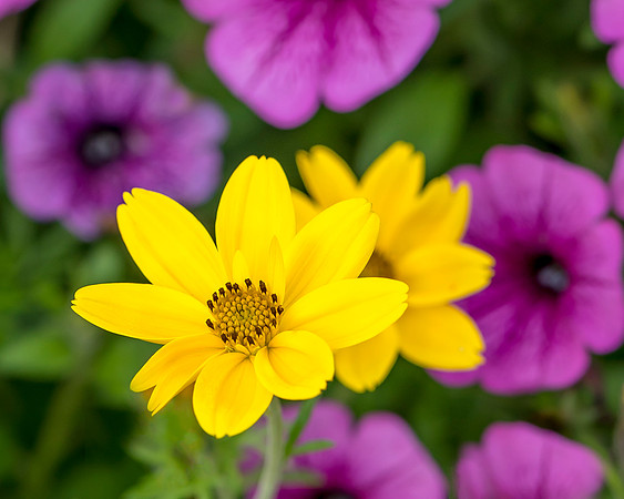_DSC1285-Edit