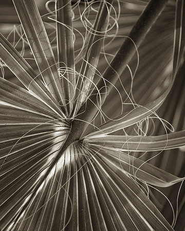 _DSC6580-Edit