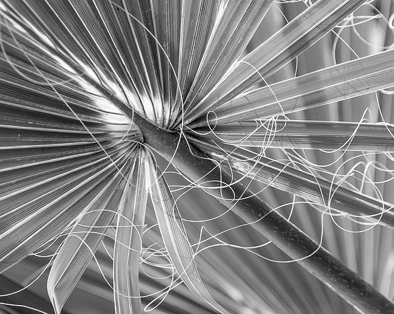 _DSC6577