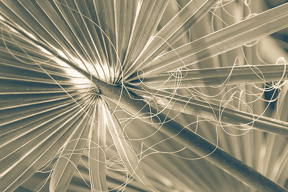 _DSC6577