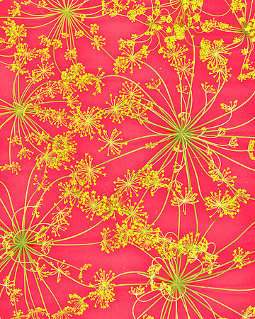 scan20250730_0016-2