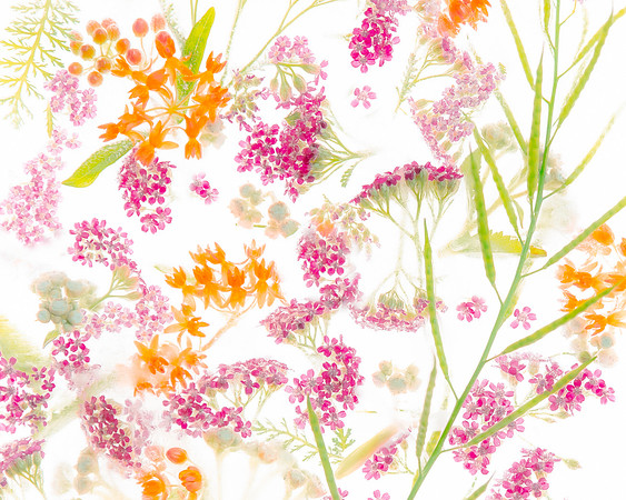 bbg_summer-10