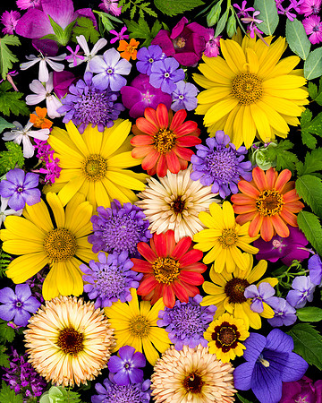 bbg_summer--25