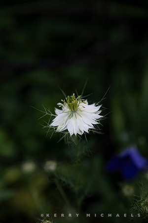 bbg_summer--2