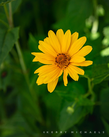 bbg_summer-50