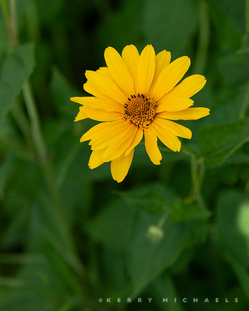 bbg_summer-81
