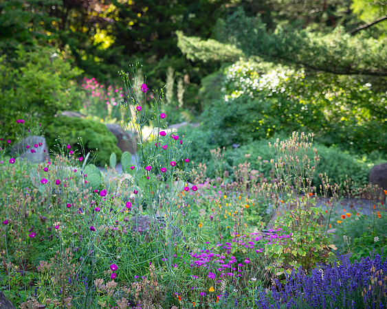 bbg_summer-102