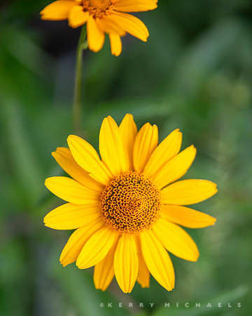 bbg_summer-125