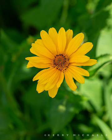 bbg_summer-253