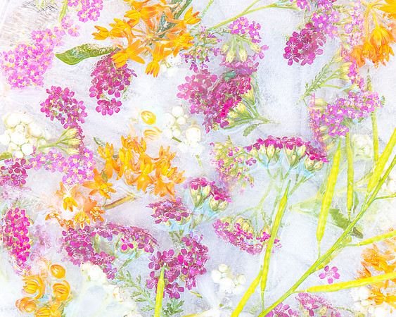 bbg_summer-99-2