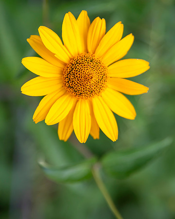 bbg_summer-125