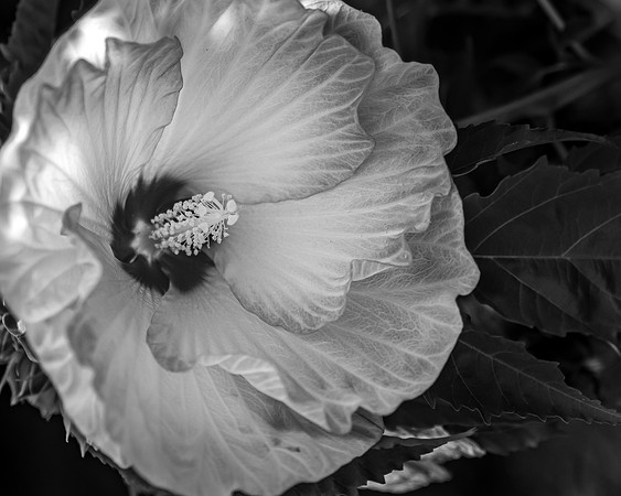 _DSC5108