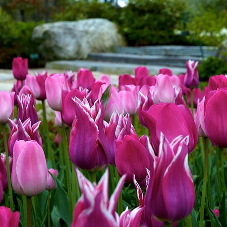 Coastal Maine Botanical Gardens